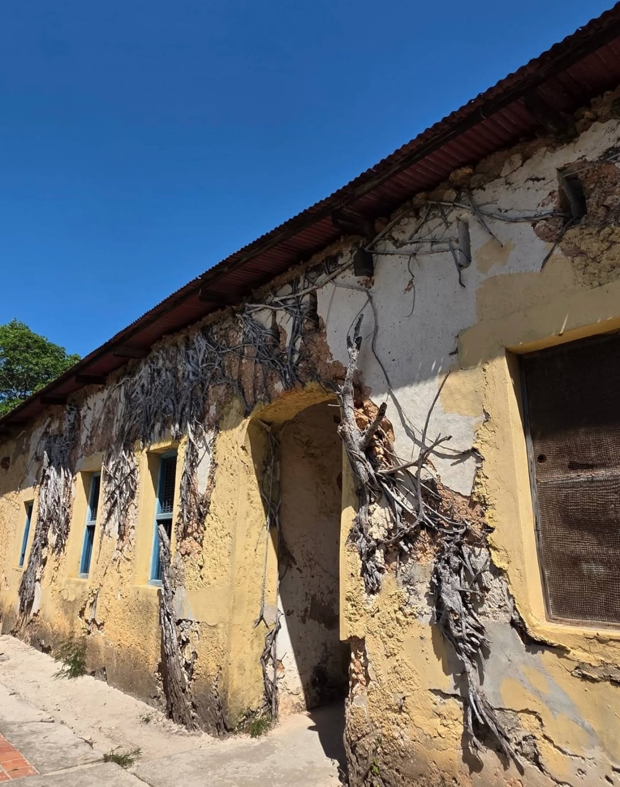 A historic Stone Town building with coral-stone walls