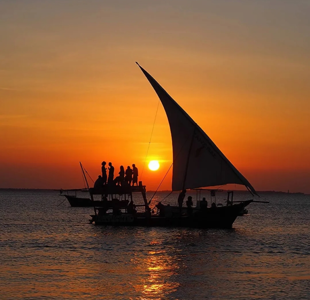 Sail into evening