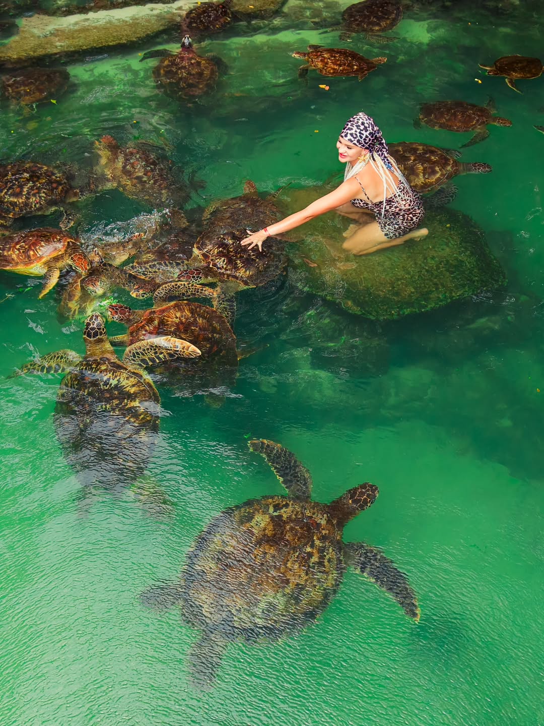 Sea turtles swimming with a visitor in Zanzibar