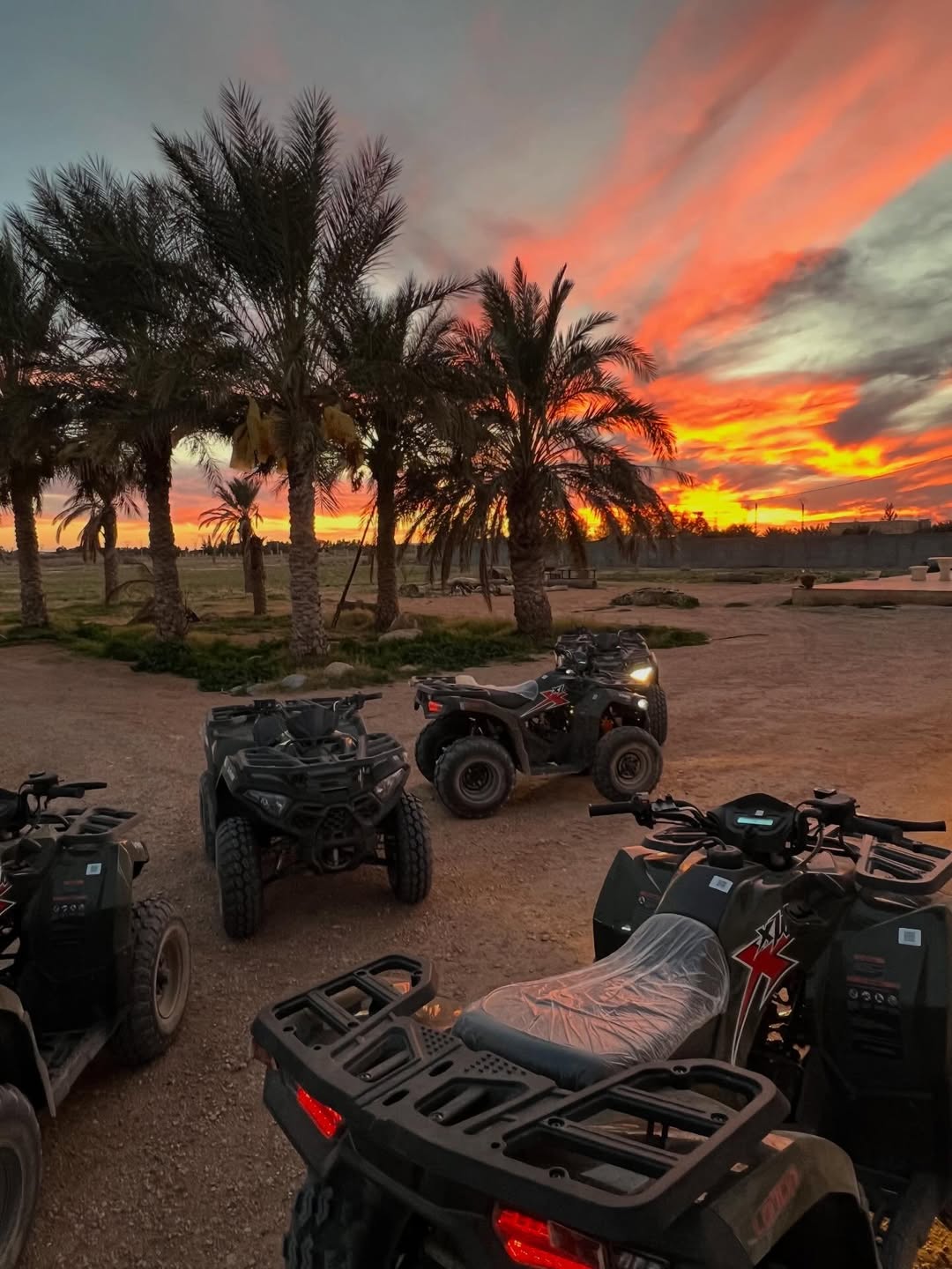 Quad bikes waiting beneath Zanzibar palms at sunset
