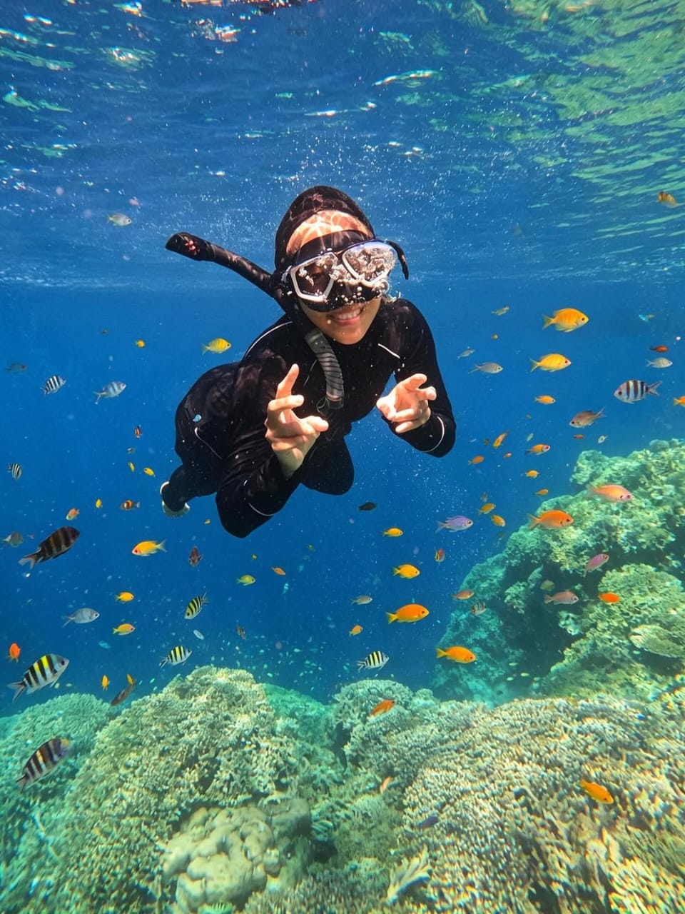A snorkeller surrounded by colourful reef fish near Mnemba Island