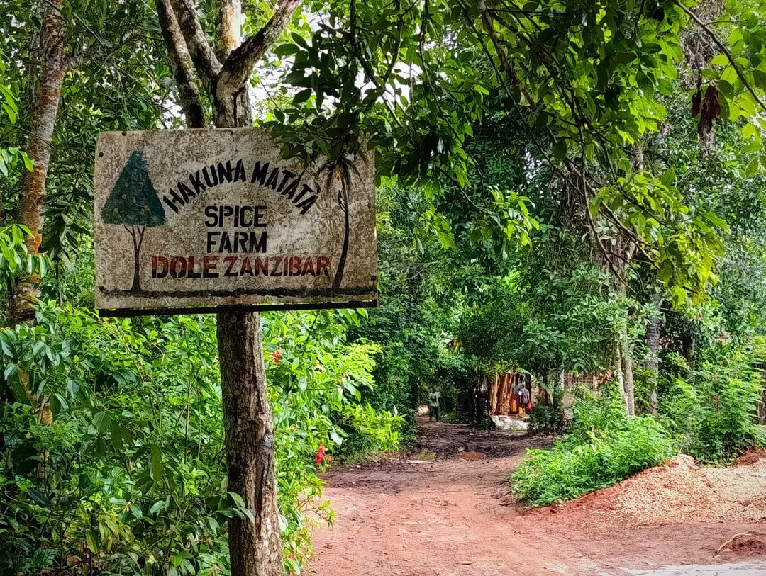Taste the island
