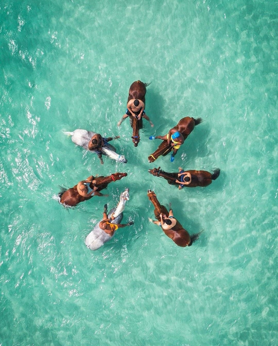 Horse riders gathered in clear Zanzibar water