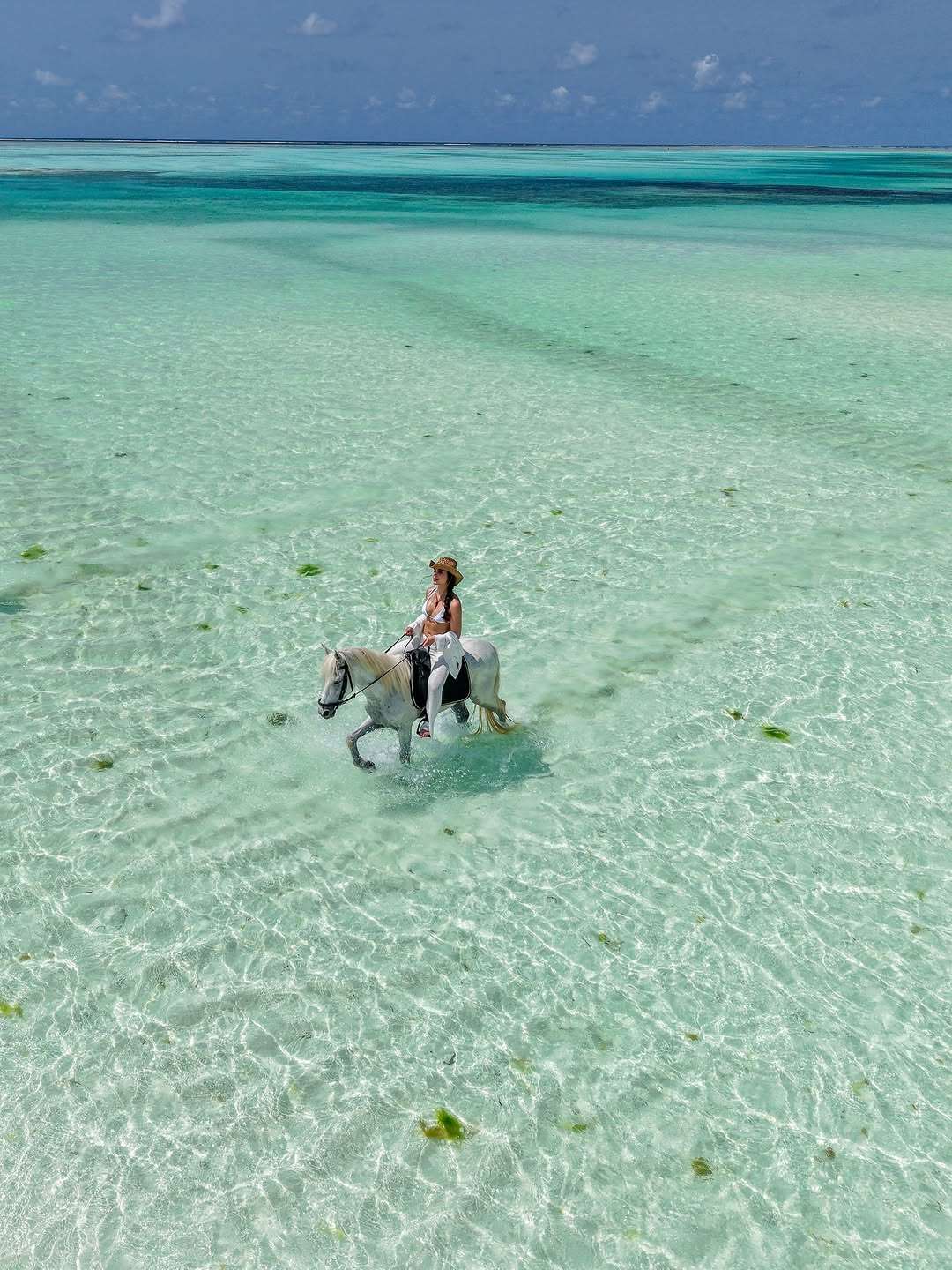 Ride the shoreline