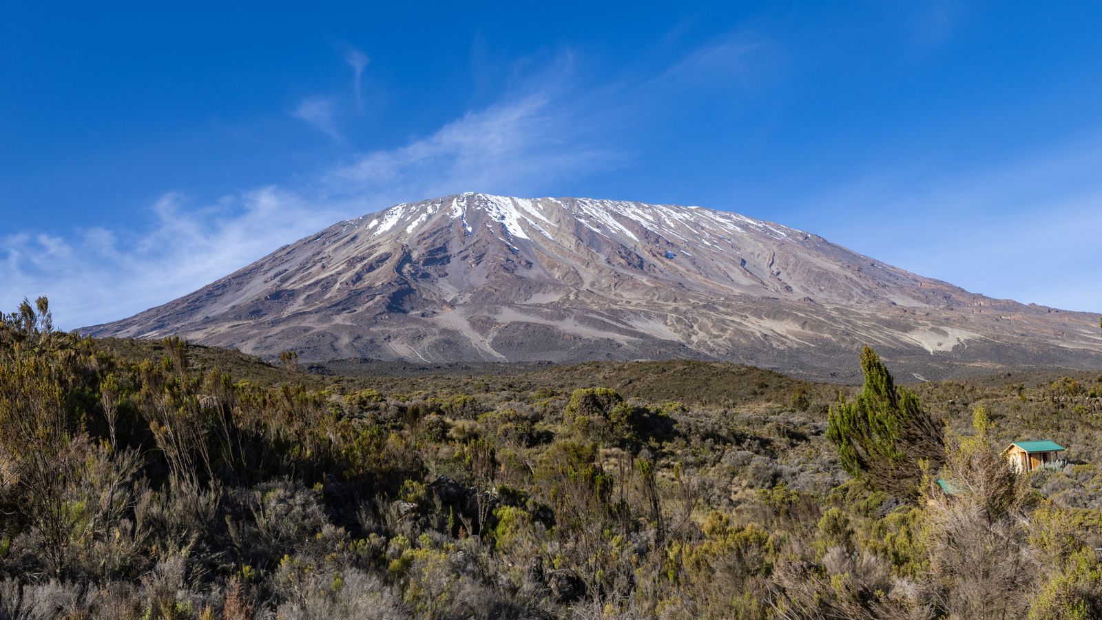 Kilimanjaro's snow-lined summit beneath a clear blue sky