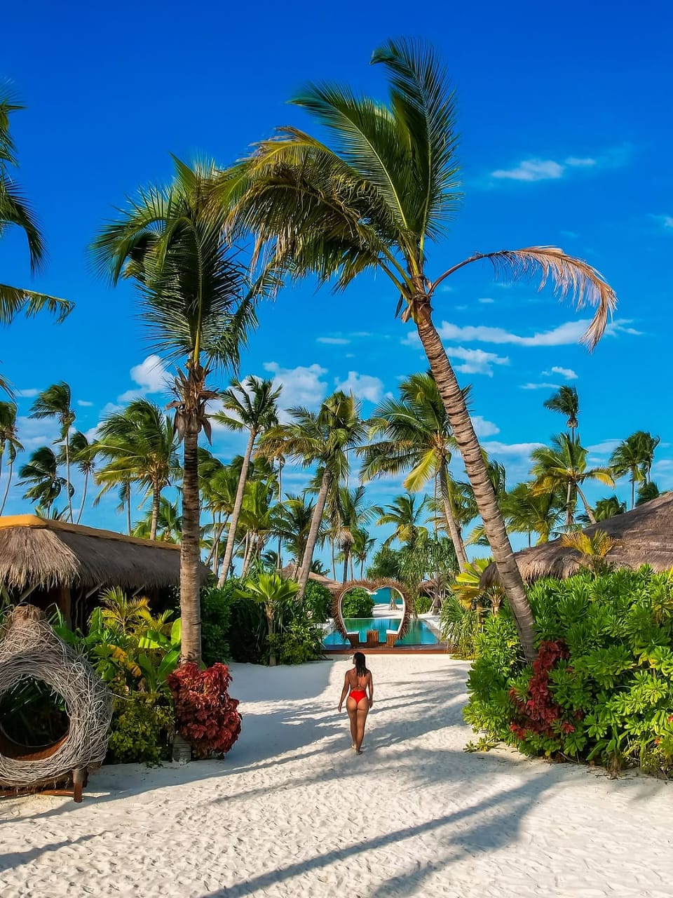 A palm garden path leading toward a Zanzibar beach resort pool